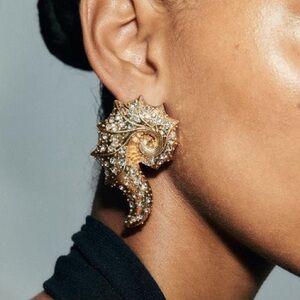Zara Sparkly Shell Earrings